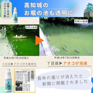 バクテリア 淡水海水両用 メダカ ディスカス ...の詳細画像4