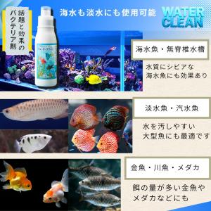 バクテリア 淡水海水両用 メダカ ディスカス ...の詳細画像5