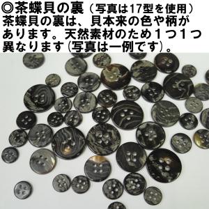 【1個単位】貝ボタン 茶蝶 皿型 13mm 1...の詳細画像2