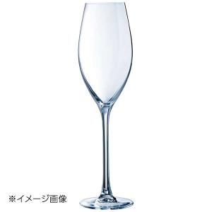 シークエンス フルート 24 P3787(6個入)の商品画像