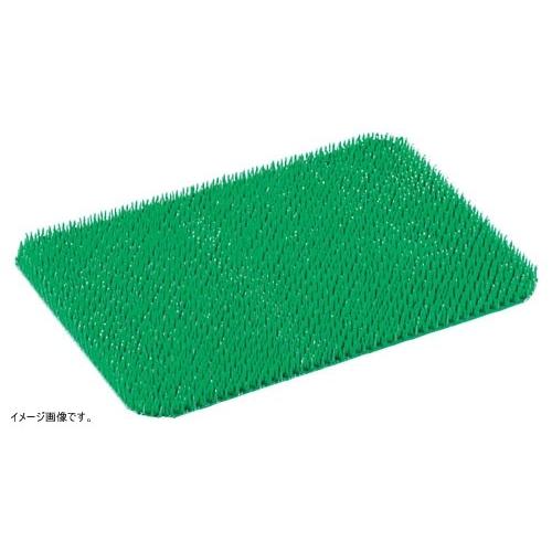 パイレス専用 肉芝B型 小用 API09