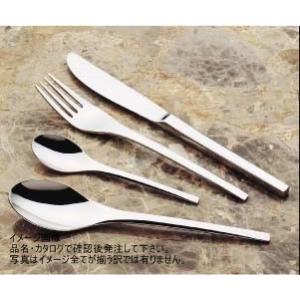 TKG 18-10 フィレンツェ ケーキスプーン OHI01056