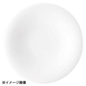 56900008 花伝 5.0皿 白虎 