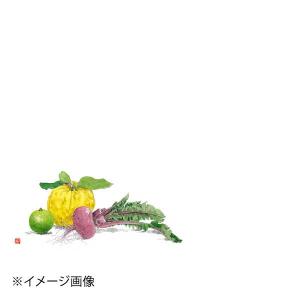 カミイソ 尺3 テーブルマット (100枚入) 鬼柚子と赤カブ No.531の商品画像