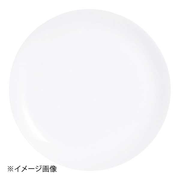 エボリューション W ディナープレート N9360 27cm