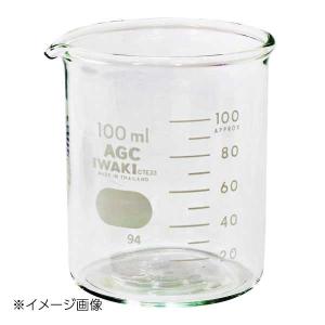 新潟精機 BeHAUS 硝子ビーカ 100ml GB-100｜lachance