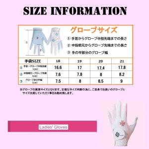 ゴルフグローブ レディース 左右 両手 手袋 ...の詳細画像2