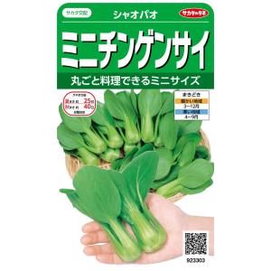サカタのタネ 実咲野菜3303 ミニチンゲンサイ シャオパオ 00923303