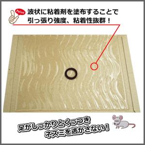 イーライフ 業務用 ネズミ捕り EL 10枚 ...の詳細画像5