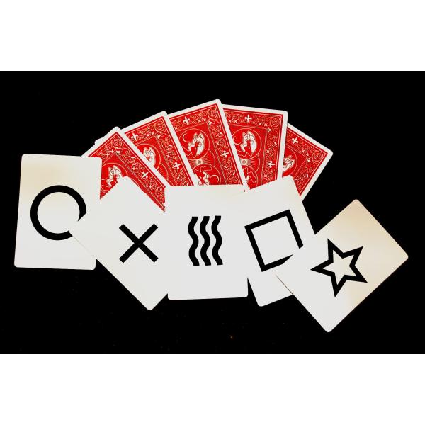 手品屋 ESP超能力マジック＜相手の超能力を引き出しあなたのカードを相手が予知する！簡単で不思議！＞