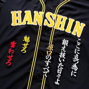 メール便送料無料】阪神 タイガース 刺繍ワッペン 六甲おろし (1