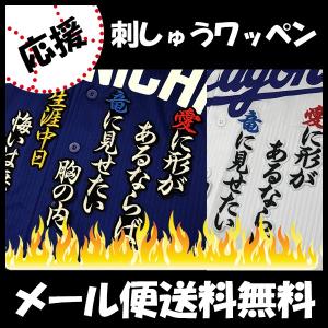 ☆送料無料☆中日 ドラゴンズ 細川成也 背番号 & 毛筆 ビジター 応援
