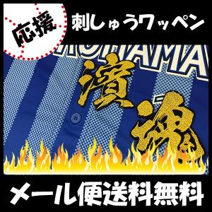 ☆送料無料☆横浜 DeNA ベイスターズ 中川颯 ネーム 白 応援