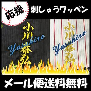メール便送料無料】福岡 ソフトバンク ホークス 刺繍ワッペン 柳田