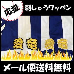 メール便送料無料】福岡 ソフトバンク ホークス 刺繍ワッペン 柳田