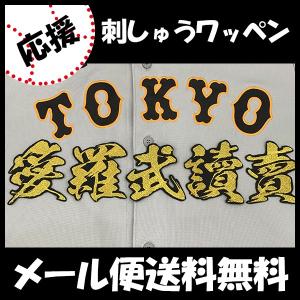 メール便送料無料】福岡 ソフトバンク ホークス 刺繍ワッペン 柳田