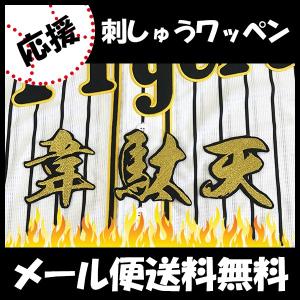 メール便送料無料】福岡 ソフトバンク ホークス 刺繍ワッペン 柳田