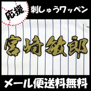 ☆送料無料☆横浜 DeNA ベイスターズ 中川颯 ネーム 白 応援 刺繍