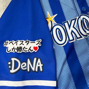 東京 ヤクルト スワローズ 刺繍ワッペン つばめ】燕/プロ野球/Yakult