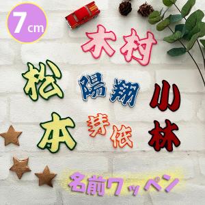 納期注意【祝 卒業 菊の紋 卒ラン用刺繍ワッペン】選べる【中学/高校