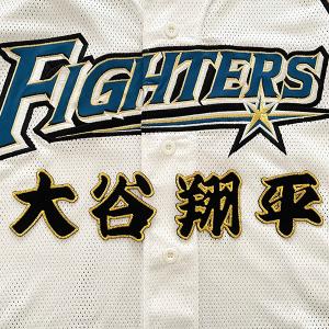 ☆送料無料☆北海道 日本ハム ファイターズ 日ハム 大谷翔平