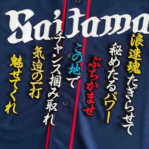メール便送料無料】東京ヤクルトスワローズ 刺繍ワッペン 村神様/村上
