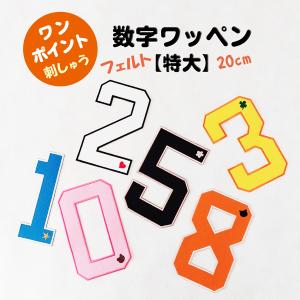 納期注意【祝 卒業 菊の紋 卒ラン用刺繍ワッペン】選べる【中学/高校