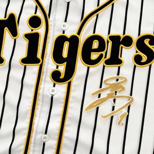 メール便送料無料】福岡 ソフトバンク ホークス 刺繍ワッペン 柳田