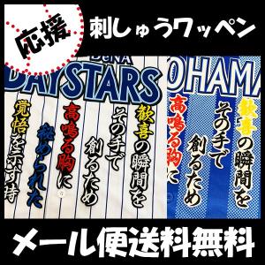 ☆送料無料☆横浜 DeNA ベイスターズ 中川颯 ネーム 白 応援 刺繍