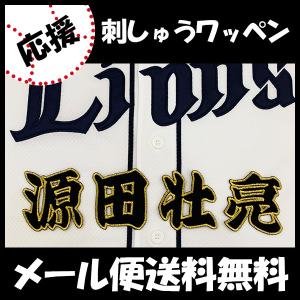 メール便送料無料】福岡 ソフトバンク ホークス 刺繍ワッペン 柳田