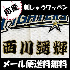 メール便送料無料】北海道 日本ハム ファイターズ 刺繍ワッペン 水谷