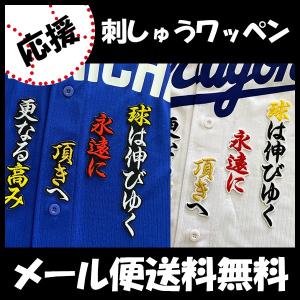 メール便送料無料】納期注意【中日ドラゴンズ 刺繍ワッペン 平田 応援