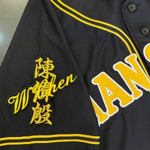 【メール便送料無料】阪神 タイガース 刺繍ワッペン チェン ネーム 黒/陳偉殷/tigers/応援/刺繍/ユニホーム