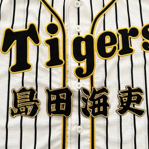 【メール便送料無料】阪神 タイガース 刺繍ワッペン 島田 名前/島田海吏/tigers/応援/刺繍/ユニホーム