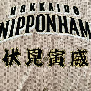 メール便送料無料】広島 カープ 刺繍ワッペン 鈴木 シルエット (3) 新