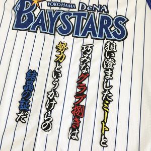 メール便送料無料】納期注意【阪神タイガース 刺繍ワッペン 西岡