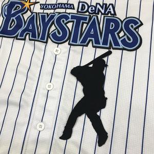 ☆送料無料☆横浜 DeNA ベイスターズ 藤浪晋太郎 シルエット 応援 刺繍