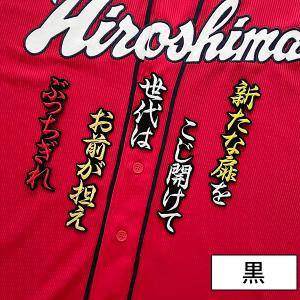 ☆送料無料☆東京 ヤクルト スワローズ 山田哲人 シルエット 2＆サイン