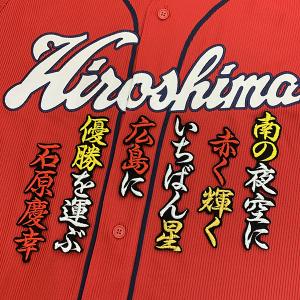 納期注意【千葉ロッテ マリーンズ 刺繍ワッペン 5点セット】【桜/新