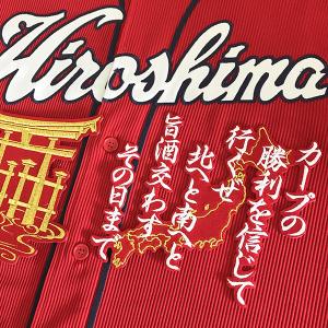 メール便送料無料】東京ヤクルトスワローズ 刺繍ワッペン 内山 ネーム