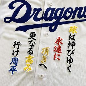 ☆送料無料☆中日 ドラゴンズ 松木平優太 背番号 & 毛筆