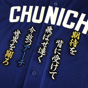 ☆送料無料☆中日 ドラゴンズ 福永裕基 シルエット & ネーム 応援 刺繍