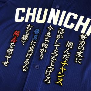 納期注意】福岡 ソフトバンク ホークス 刺繍ワッペン 正木 サイン付