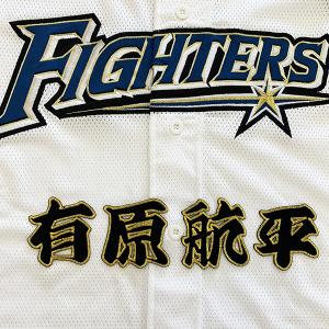 メール便送料無料】千葉 ロッテ マリーンズ 刺繍ワッペン 安田 応援歌