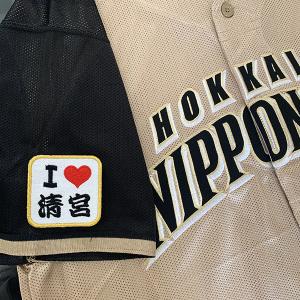 メール便送料無料】北海道 日本ハム ファイターズ 刺繍ワッペン I Love