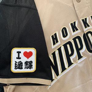 ☆送料無料☆北海道 日本ハム ファイターズ 日ハム 達孝太 シルエット