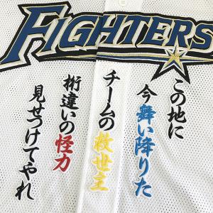 メール便送料無料】納期注意【東京ヤクルトスワローズ 刺繍ワッペン