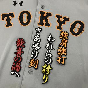 メール便送料無料】読売 ジャイアンツ 巨人 刺繍ワッペン 大城 ネーム