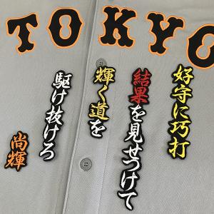 メール便送料無料】読売 ジャイアンツ 巨人 刺繍ワッペン 大城