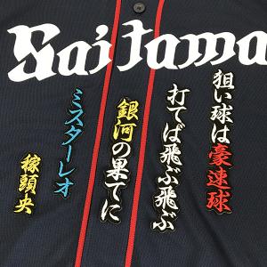 ☆送料無料☆埼玉 西武 ライオンズ 栗山巧 シルエット 2 応援 刺繍